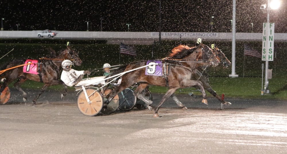 Brian Sears needed some good fortune to craft a victory in the Yonkers Trot with Top Flight Angel, who edged Yes Mickey and Ake Svanstedt at the wire | Mike Lizzi