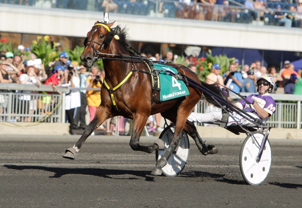What The Hill (David Miller) returns to the races tonight following his disqualification in the Hambletonian | Dave Landry