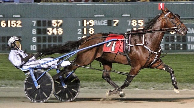 Downbytheseaside (Brian Sears) was dominant in Saturday's Jug Preview at Scioto Downs | Brad Conrad