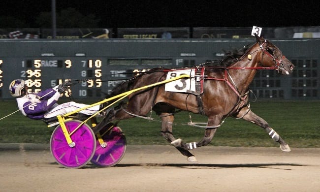 Drunk On Your Love (Dan Noble) won the $250,000 Ohio Sire Stakes Final for sophomore pacing colts in 1:53 | Brad Conrad