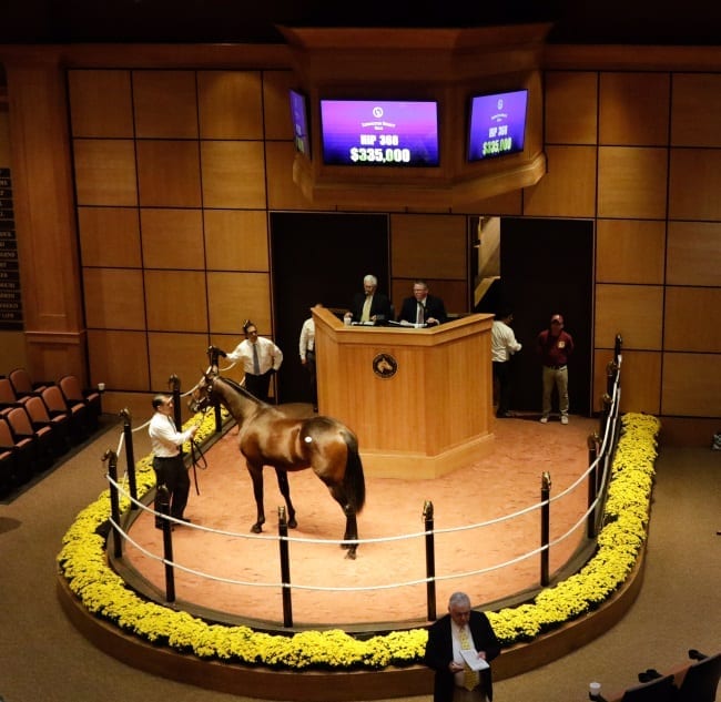 Southwind Bugz, a Muscle Hill colt out of Missymae Bluestone, was the day three topper thanks to a winning bid of $325,000 by Ken Jacobs. The colt is now the second-highest priced yearling to sell through three days | Dave Landry