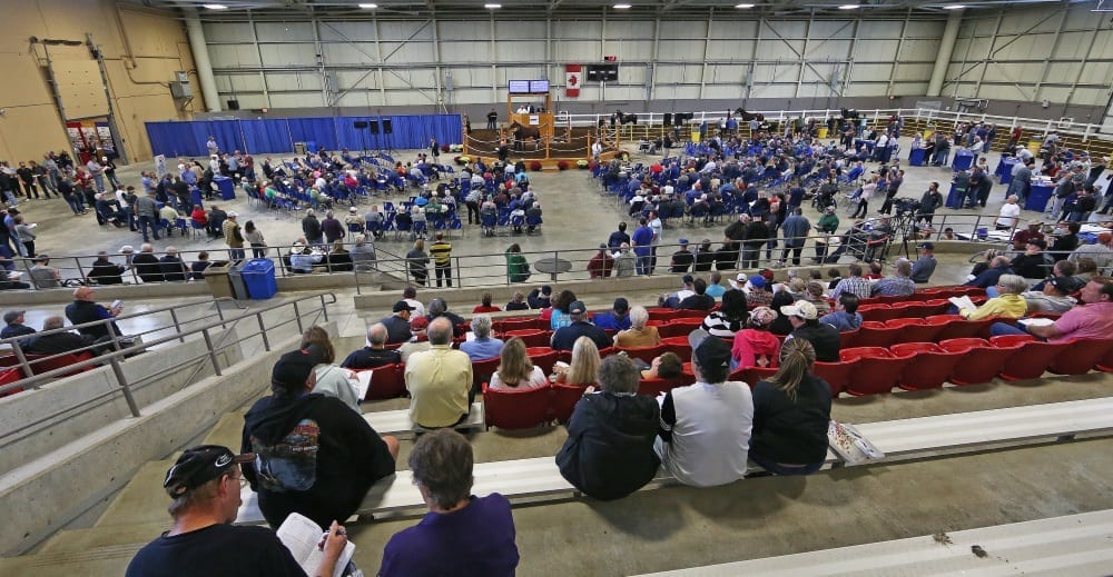 Sunday's strong crowd and active bidders at the Metroland Media Agri-Plex facility at the Western Fair District in London, ON helped the second session double the gross of the opening session | Claus Andersen