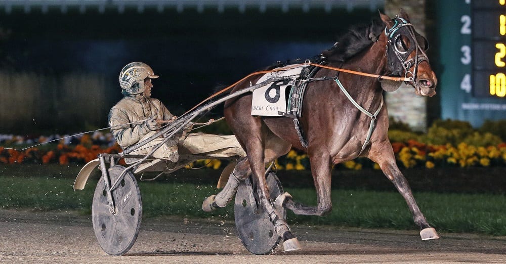 Ariana G (Yannick Gingras) won by more than five lengths in 1:54.3 | Claus Andersen