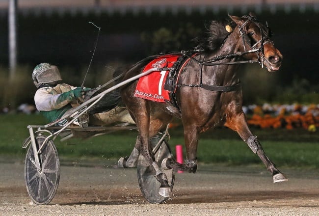 Emoticon Hanover (Daniel Dube) cruised to victory in the four-horse Breeders Crown Mare Trot final Friday at Hoosier Park | Claus Andersen