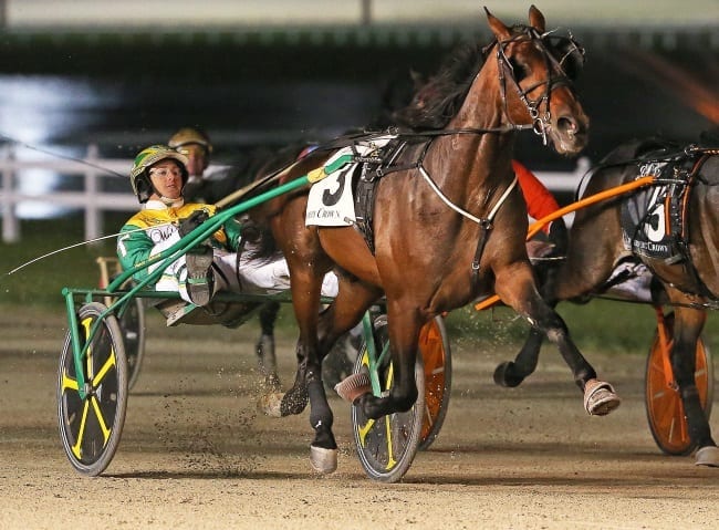 Two-year-old trotting colt Fiftydallarbill (Trace Tetrick) was the second of three Indiana-bred Crown winners on the night and the second straight | Claus Andersen