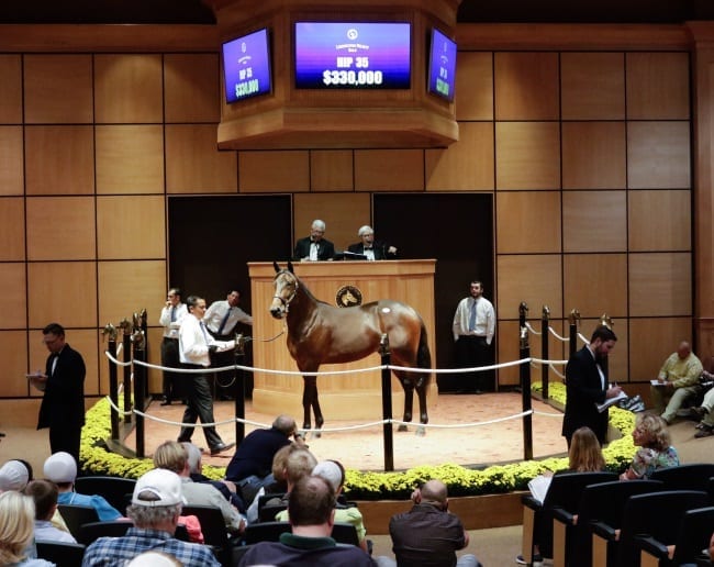 Father Patrick—Designed To Be colt Rifleman topped the opening session of the Lexington Selected Yearling sale with a bid of $330,000 by Courant Inc. of Delray Beach, FL | Dave Landry