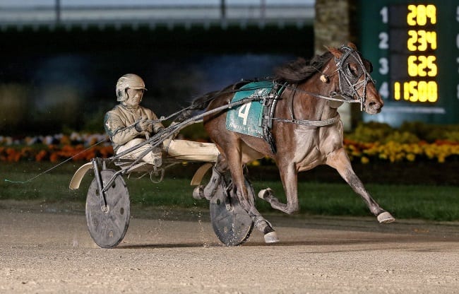 Manchego (Yannick Gingras) became the first undefeated trotting filly to win the two-year-old Breeders Crown as she pushed her undefeated streak to 12 races | Claus Andersen