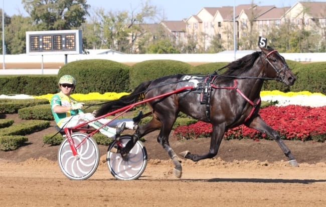 Toscano said Walner (with Tim Tetrick winning  at Red Mile in 2016) has a flawless gait and crazy speed | Mark Hall / USTA