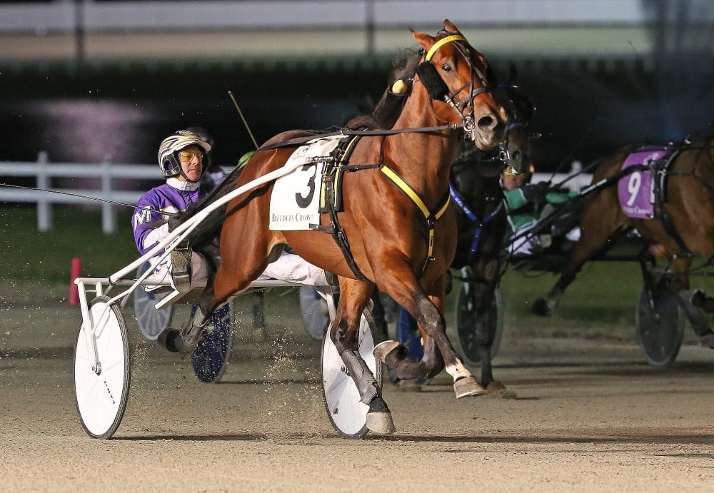 What The Hill (David Miller) won the sophomore trotting colts' Breeders Crown division by three-and-a-quarter lengths in 1:52.3 | Claus Andersen