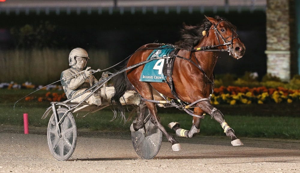 Youaremycandygirl (Yannick Gingras) posted her seventh win in nine starts with a 1:53.2 victory | Claus Andersen