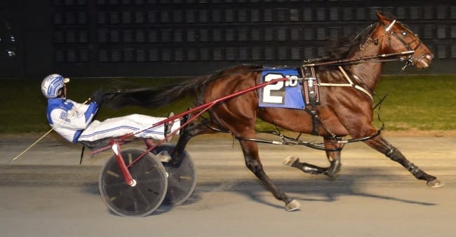 Downbytheseaside provided driver Chris Page with his biggest career victory by winning the $308,060 Hap Hansen Progress Pace on Thursday night at Dover Downs. Downbytheseaside equalled his career best mile of 1:48.3 | Courtesy Dover Downs