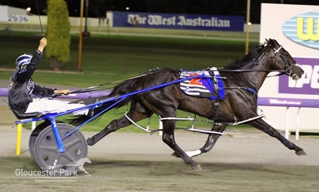 Lazarus and Mark Purdon winning the $1.1 million TABtouch Inter Dominion final Friday night at Gloucester Park in Perth, Australia | Courtesy Gloucester Park