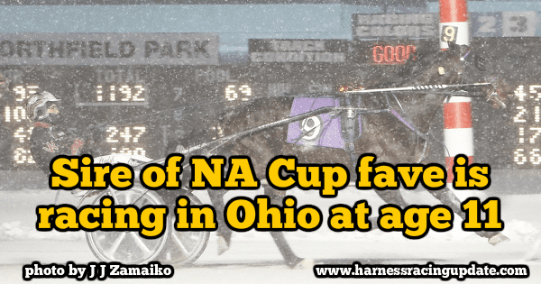Sire of NA Cup fave is racing in Ohio at age 11