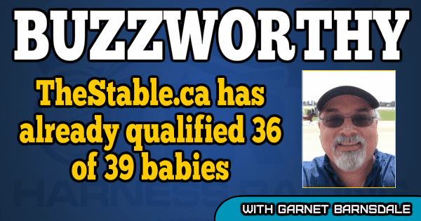 TheStable.ca has already qualified 36 of 39 babies
