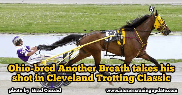 Ohio-bred Another Breath takes his shot in Cleveland Trotting Classic
