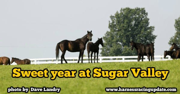 Sweet year at Sugar Valley