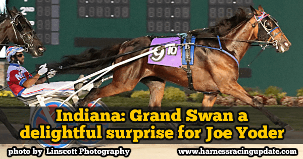 Indiana: Grand Swan a delightful surprise for Joe Yoder