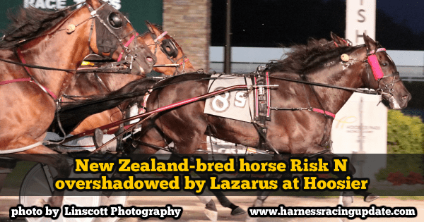 New Zealand-bred horse Risk N overshadowed by Lazarus at Hoosier