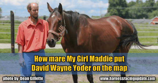 How mare My Girl Maddie put David Wayne Yoder on the map
