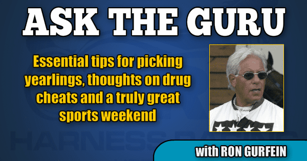 Essential tips for picking yearlings, thoughts on drug cheats and a truly great sports weekend