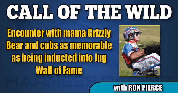Encounter with mama Grizzly Bear and cubs as memorable as being inducted into Jug Wall of Fame