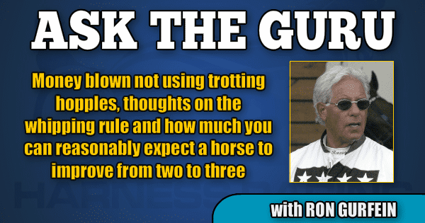 Money blown not using trotting hopples, thoughts on the whipping rule and how much you can reasonably expect a horse to improve from two to three
