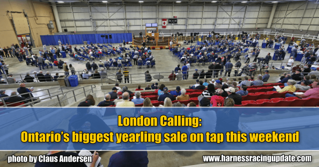 London Calling: Ontario’s biggest yearling sale on tap this weekend