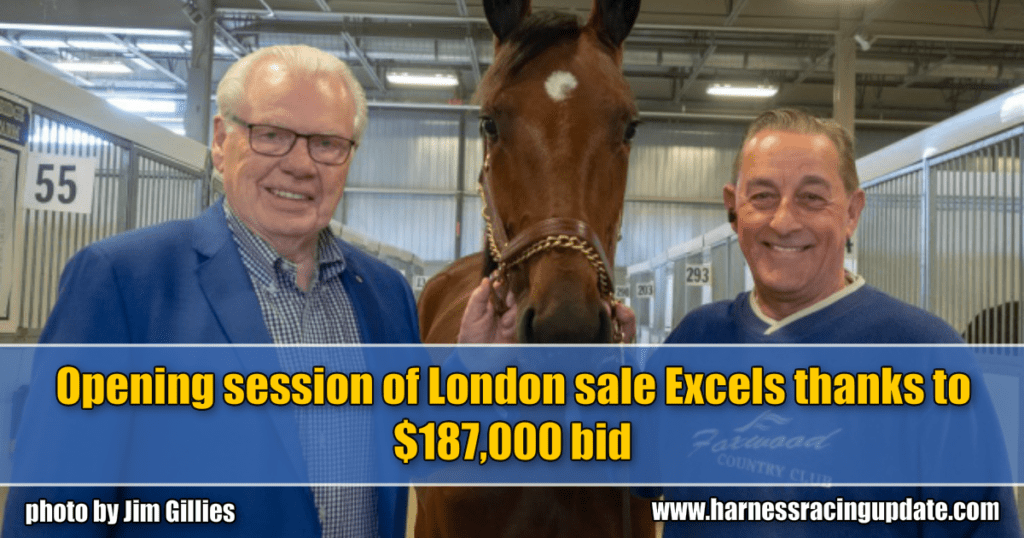 Opening session of London sale Excels thanks to $187,000 bid