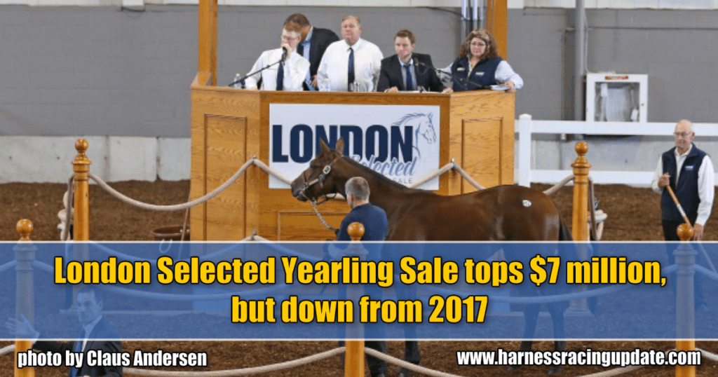 London Selected Yearling Sale tops $7 million, but down from 2017