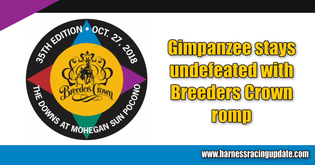 Gimpanzee stays undefeated with Breeders Crown romp