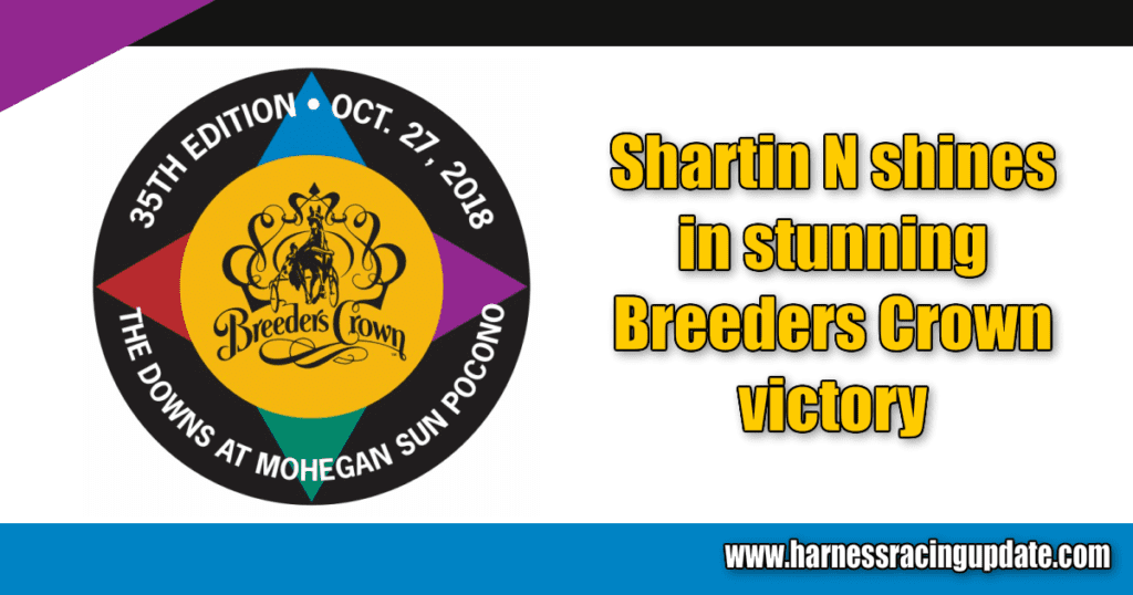 Shartin N shines in stunning Breeders Crown victory
