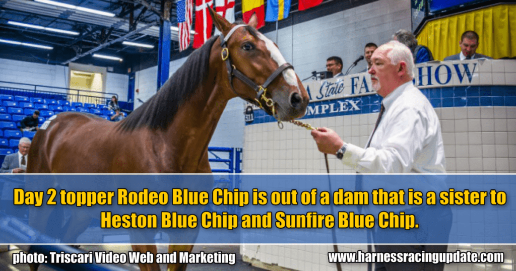 Day 2 topper Rodeo Blue Chip is out of a dam that is a sister to Heston Blue Chip and Sunfire Blue Chip.