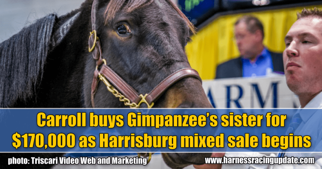 Carroll buys Gimpanzee’s sister for $170,000 as Harrisburg mixed sale begins