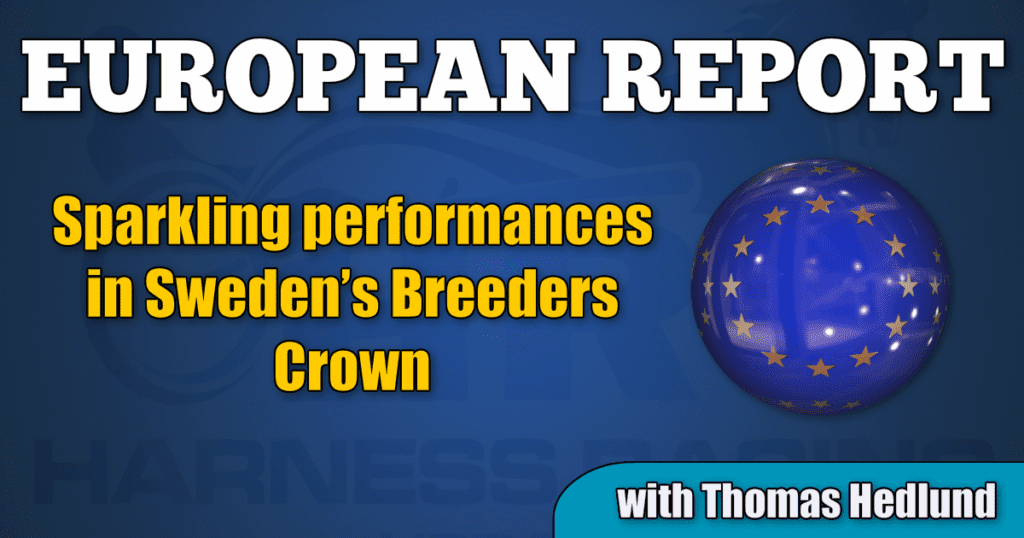 Sparkling performances in Sweden’s Breeders Crown