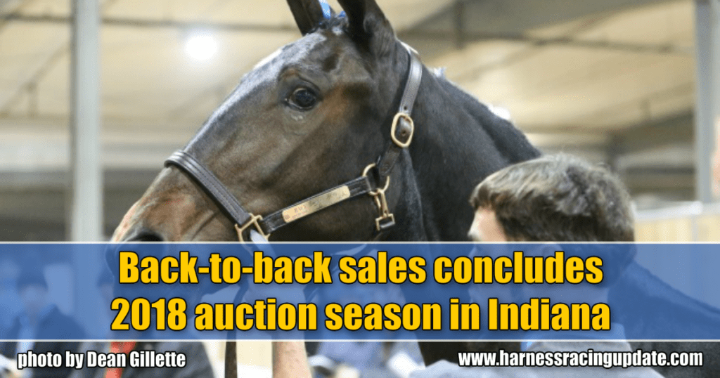 Back-to-back sales concludes 2018 auction season in Indiana