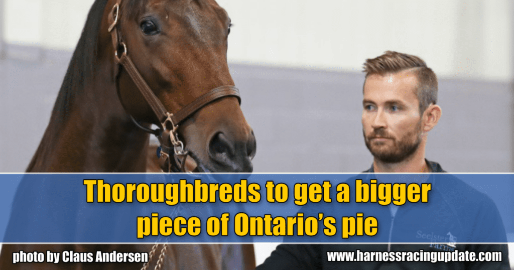 Thoroughbreds to get a bigger piece of Ontario’s pie