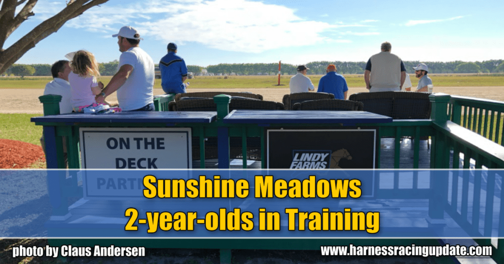 Sunshine Meadows 2-year-olds in Training