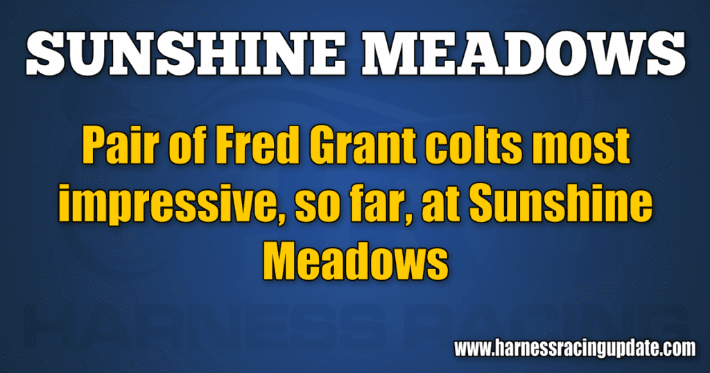 Pair of Fred Grant colts most impressive, so far, at Sunshine Meadows