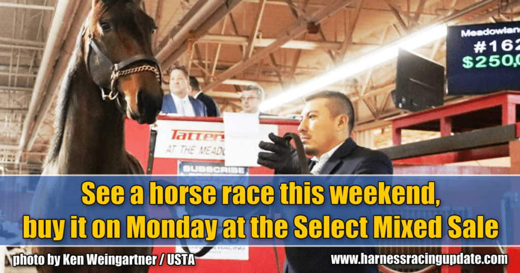 See a horse race this weekend, buy it on Monday at the Select Mixed Sale
