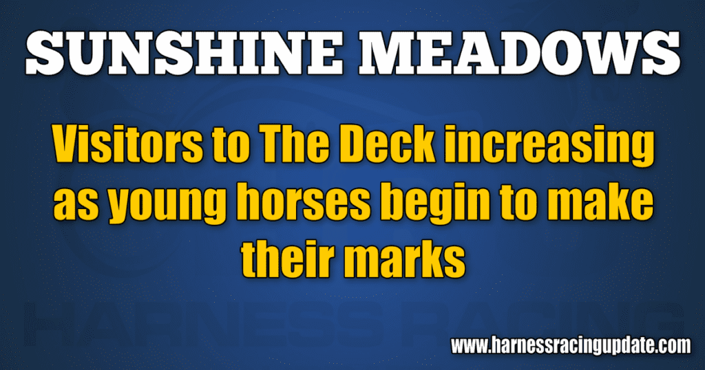 Visitors to The Deck increasing as young horses begin to make their marks