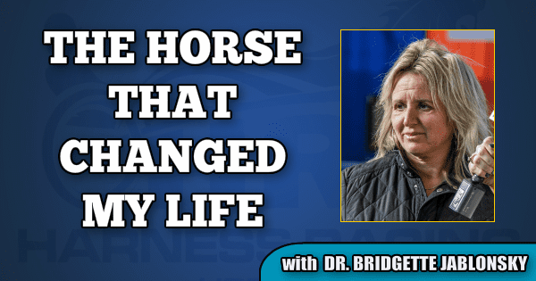 Dr. J. shares the story of the two horses that turned her into a harness addict
