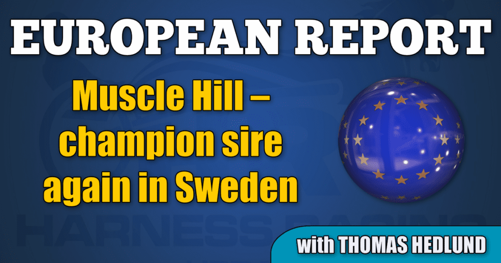 Muscle Hill – champion sire again in Sweden