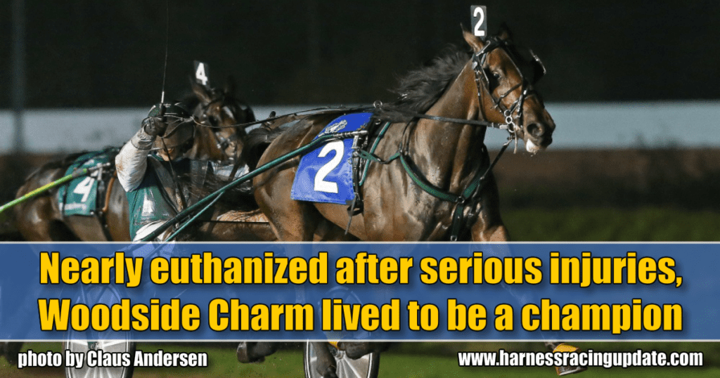 Nearly euthanized after serious injuries, Woodside Charm lived to be a champion