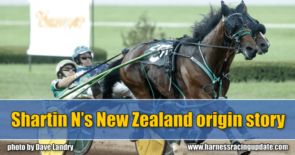 Shartin N’s New Zealand origin story