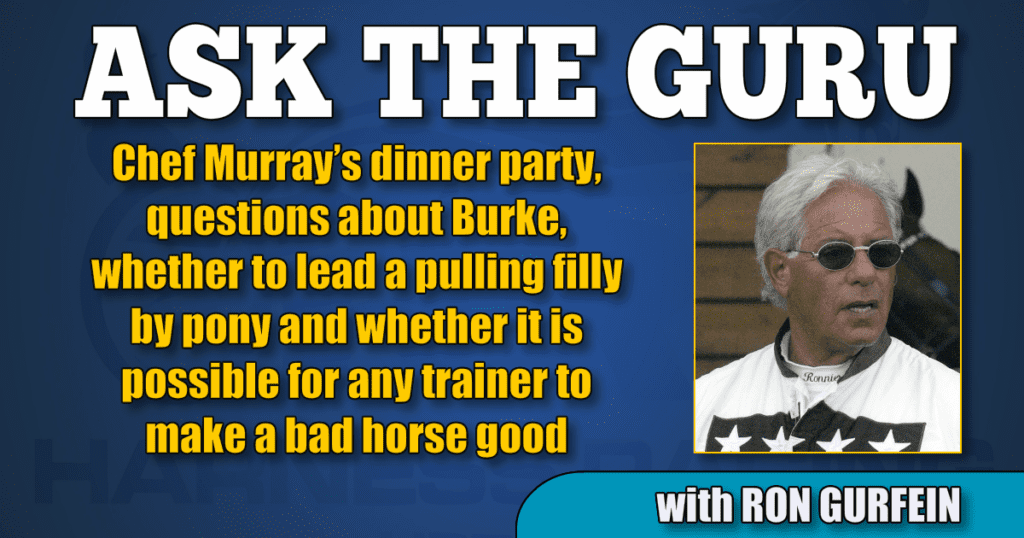 Chef Murray’s dinner party, questions about Burke, whether to lead a pulling filly by pony and whether it is possible for any trainer to make a bad horse good