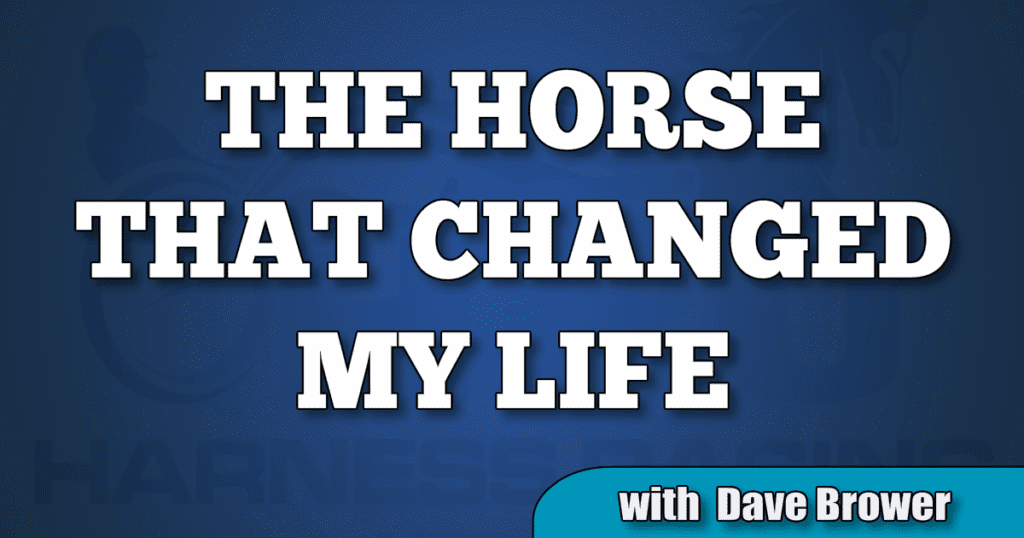 Dave Brower reveals The Horse That Changed His Life