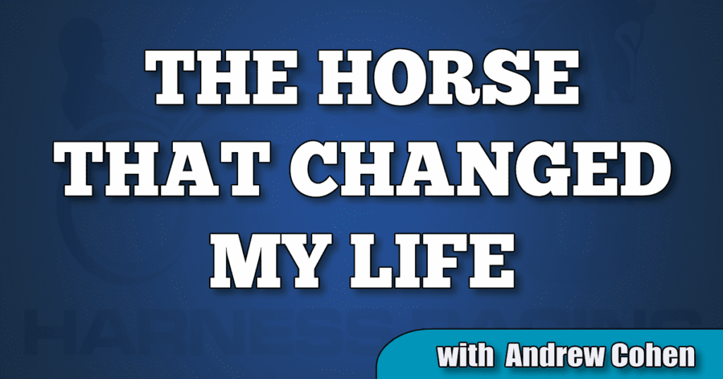 Andrew Cohen: the horse that changed my life