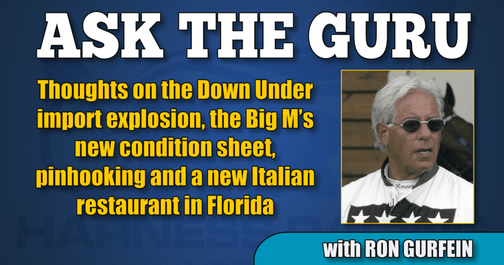 Thoughts on the Down Under import explosion, the Big M’s new condition sheet, pinhooking and a new Italian restaurant in Florida