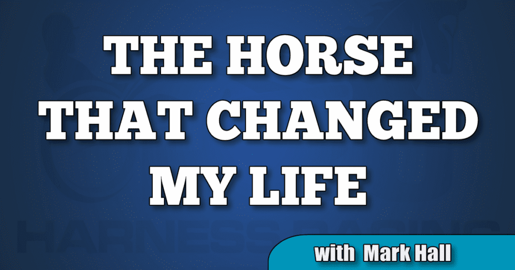Mark Hall on the horse that changed his life