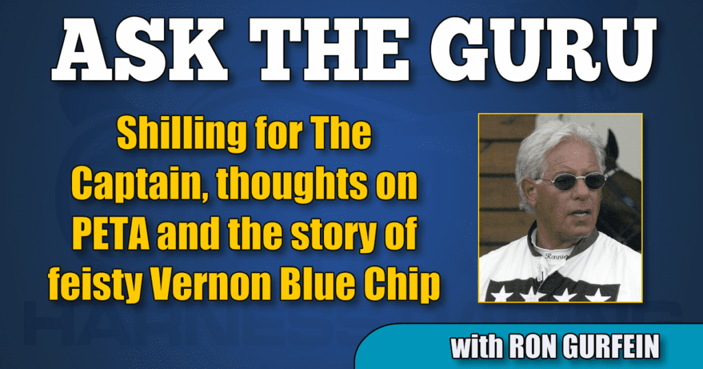 Shilling for The Captain, thoughts on PETA and the story of feisty Vernon Blue Chip